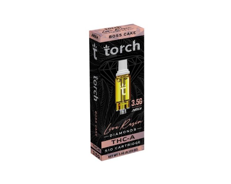 TORCHTHCALRCA (10)