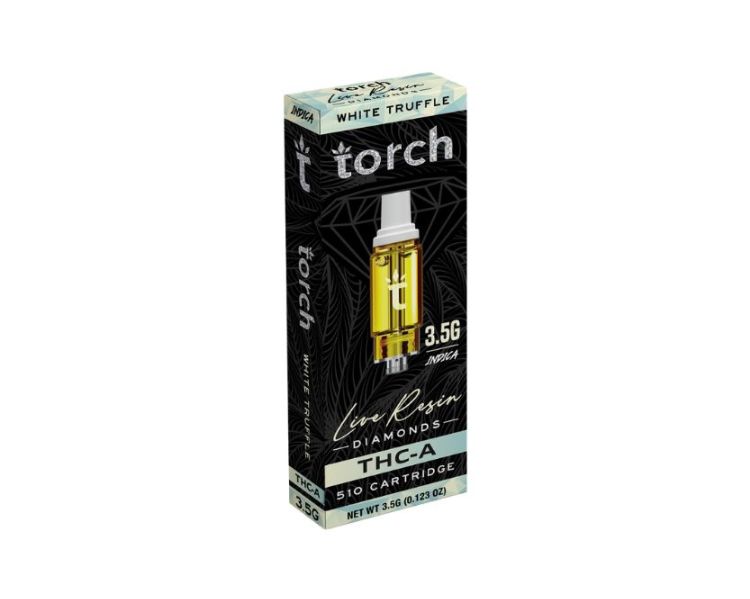 TORCHTHCALRCA (5)