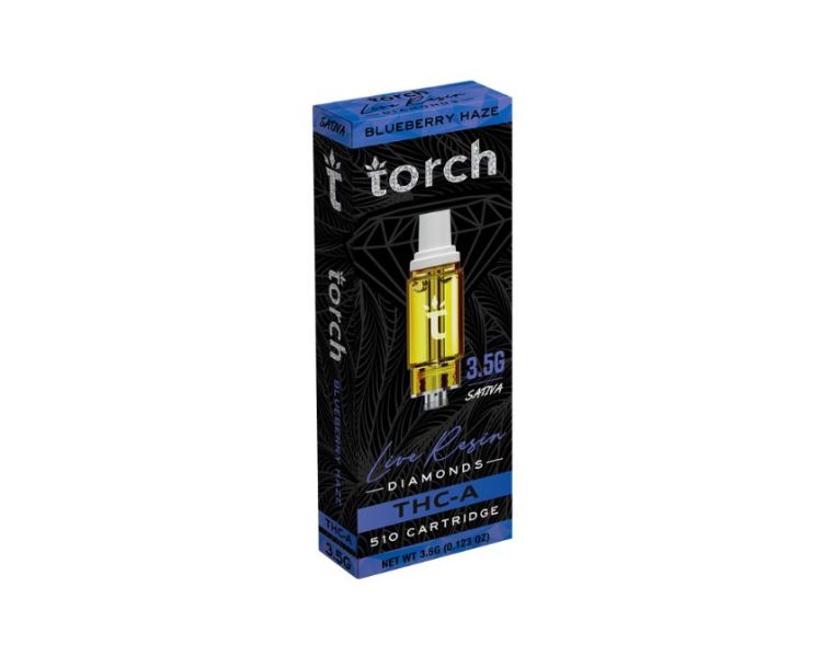 TORCHTHCALRCA (7)