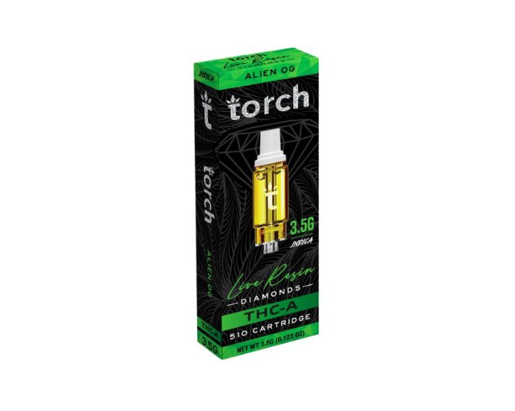 TORCHTHCALRCA (8)