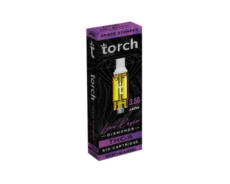 TORCHTHCALRCA (9)